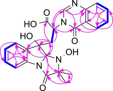 New Alkaloids From a Hawaiian Fungal Strain Aspergillus felis FM324